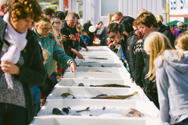 Great Fish Day Festival De Poisson à Dalvík Islande Blog Voyage